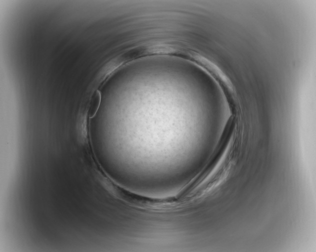 X0000099930889200805231228