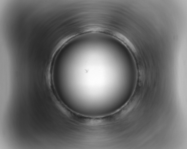 X0000099930890200805231228