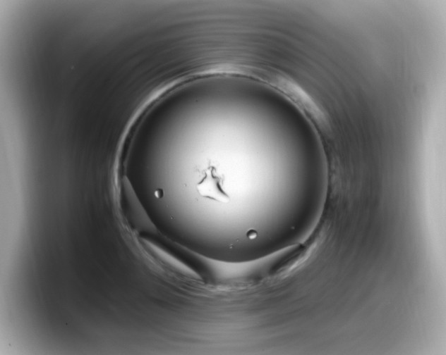 X0000099930892200805231228