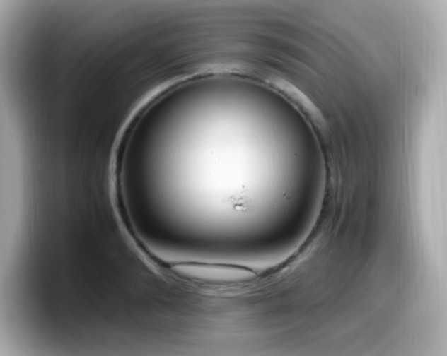 X0000099930894200805231228