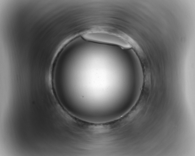 X0000099930896200805231228