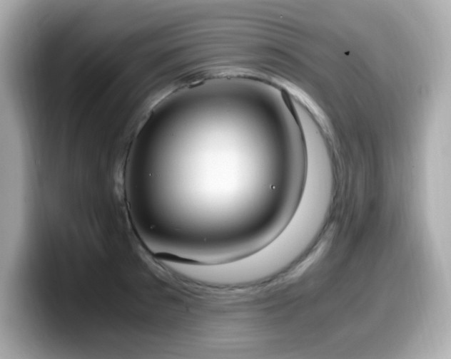 X0000099930897200805231228