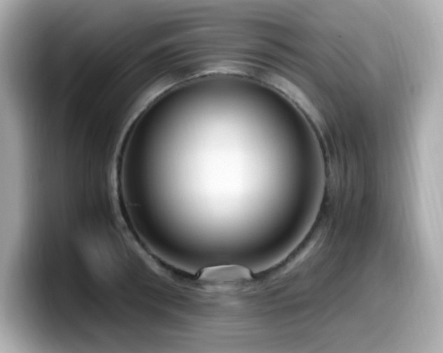 X0000099930898200805231228