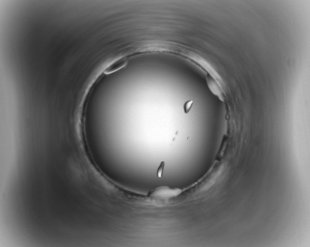 X0000099930901200805231228