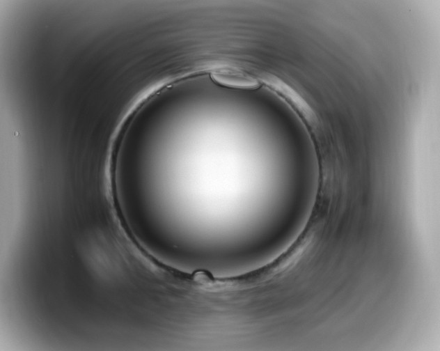 X0000099930902200805231228