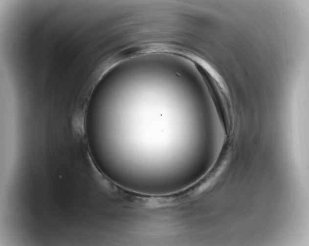 X0000099930905200805231228