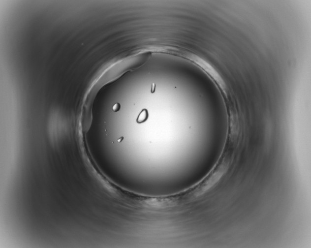 X0000099930906200805231228