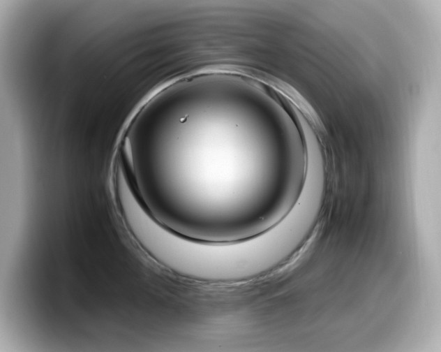 X0000099930908200805231228