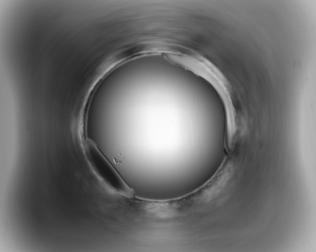 X0000099930909200805231228