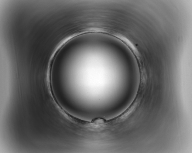 X0000099930910200805231228