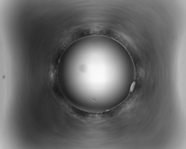 X0000099930914200805231227