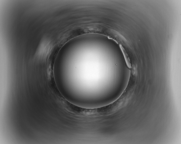 X0000099930915200805231227