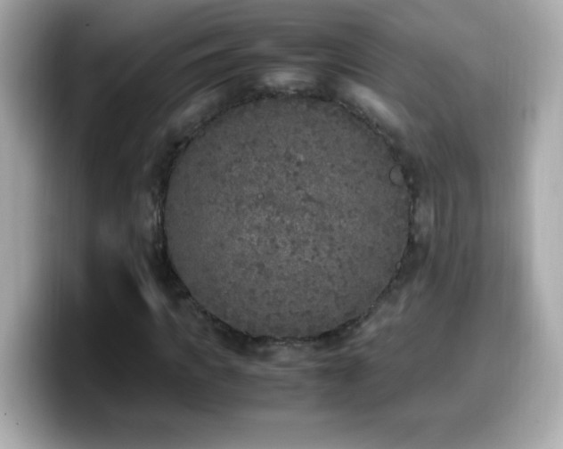 X0000099930917200805231227