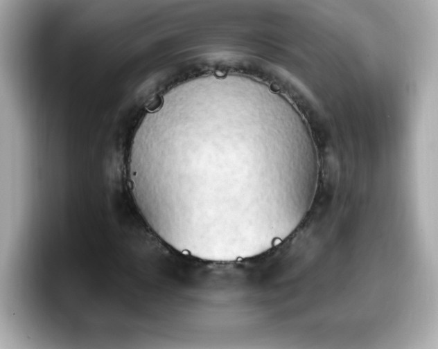 X0000099930918200805231227
