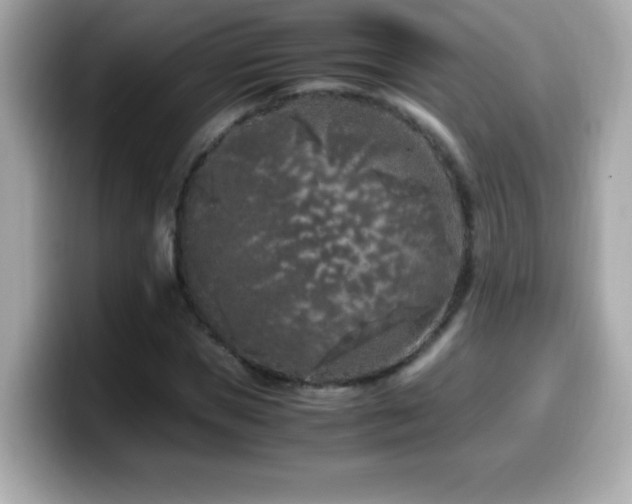 X0000099930921200805231227