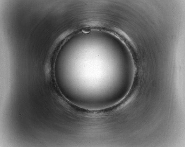 X0000099930922200805231227