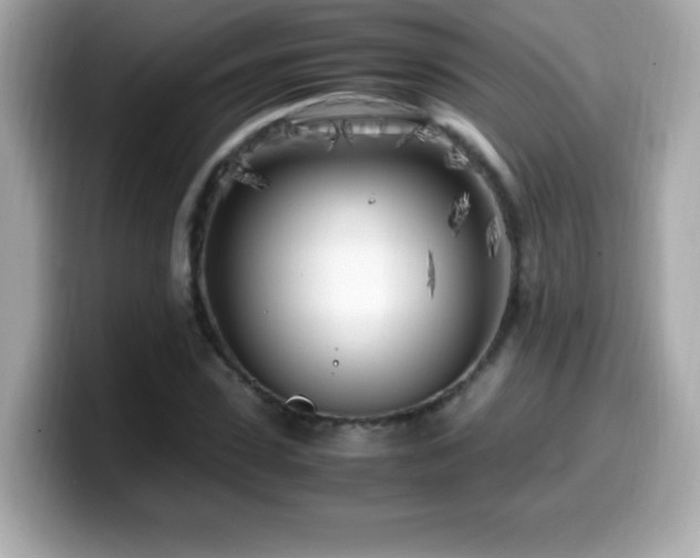X0000099930923200805231227