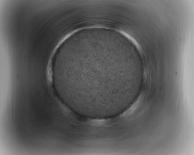 X0000099930925200805231227