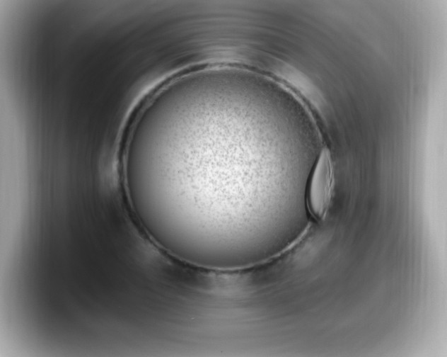 X0000099930928200805231227