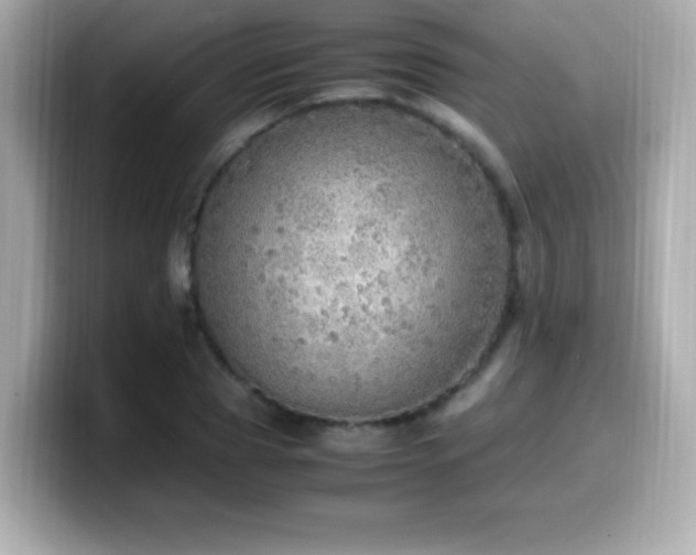 X0000099930929200805231227