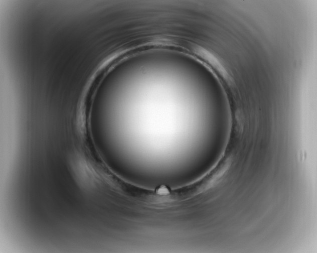 X0000099930931200805231227