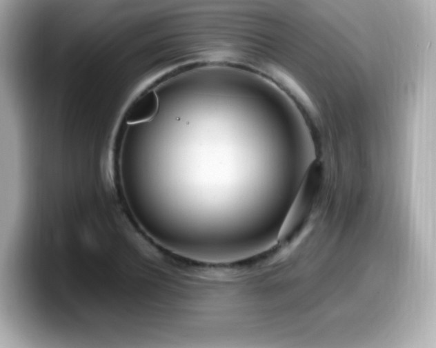 X0000099930932200805231227