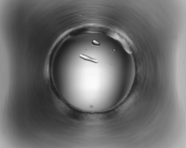 X0000099930934200805231227