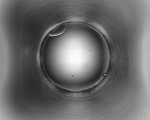 X0000099930936200805231227