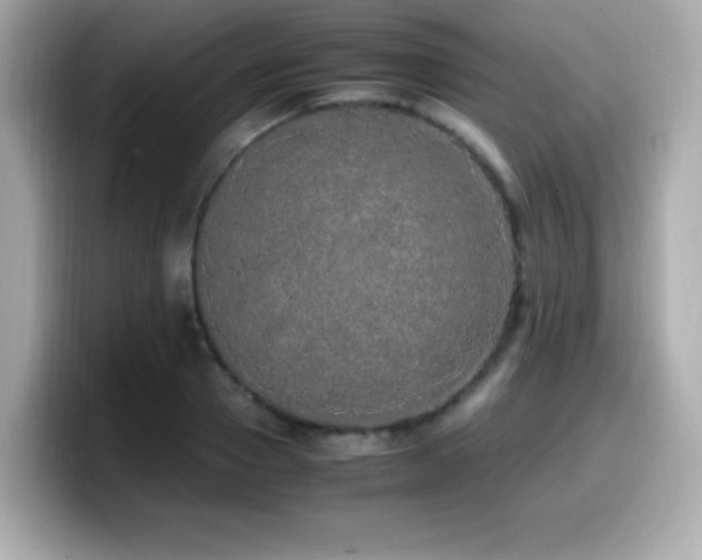 X0000099930937200805231227