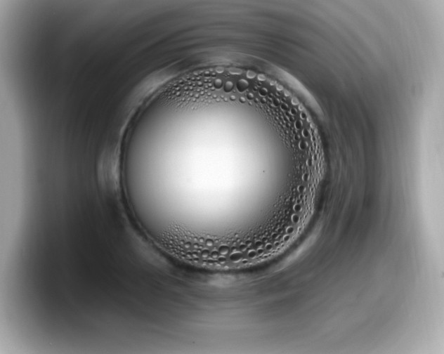 X0000099930938200805231227