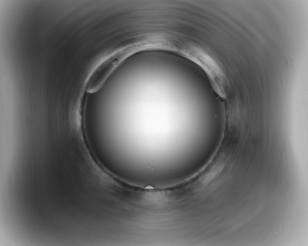 X0000099930944200805231227