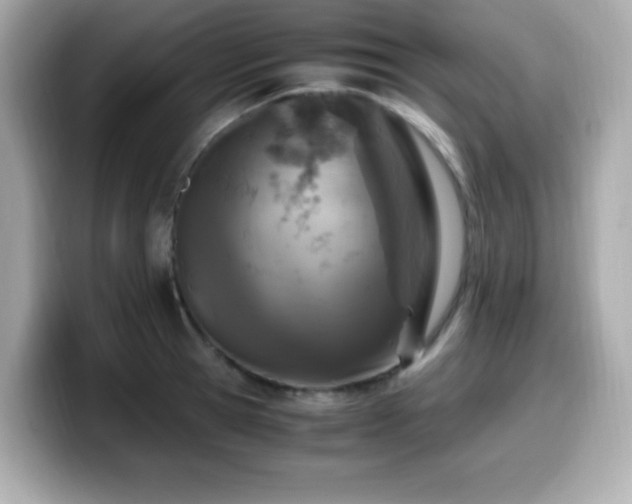 X0000099930945200805231227