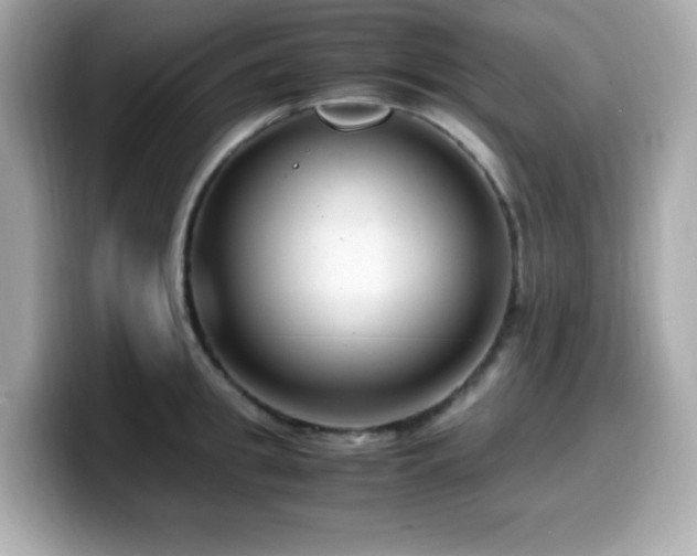 X0000099930949200805231227
