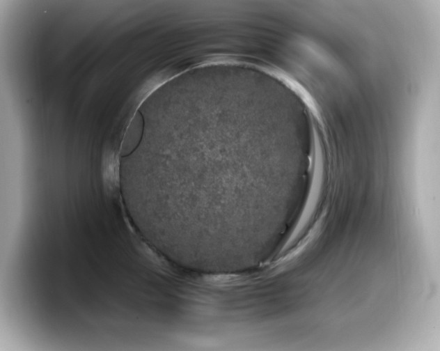 X0000099930953200805231227