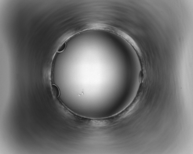 X0000099930954200805231227