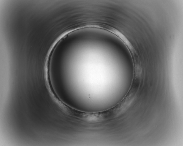 X0000099930955200805231227