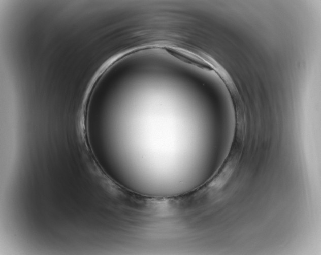 X0000099930956200805231227