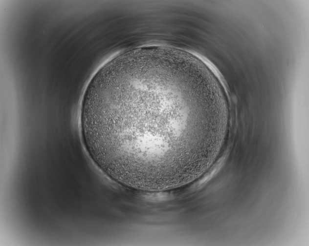 X0000099930957200805231227