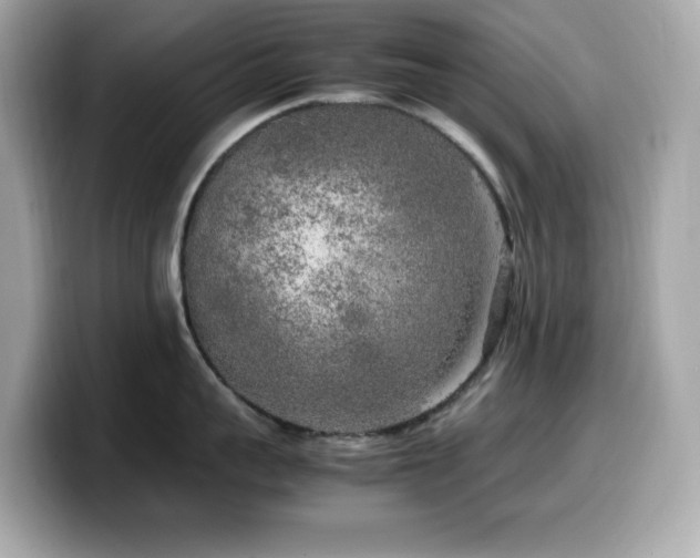 X0000099930959200805231227