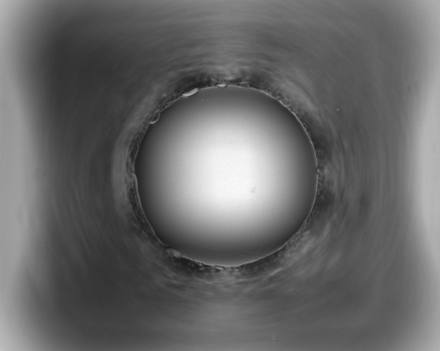 X0000099930961200805231227