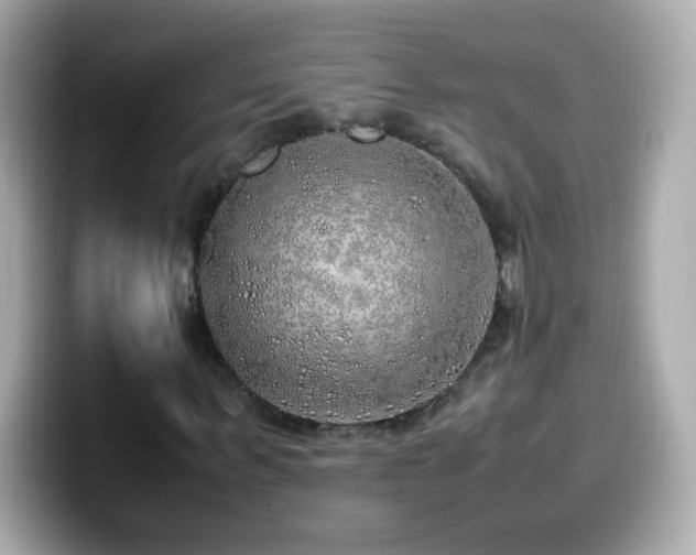 X0000099930963200805231227