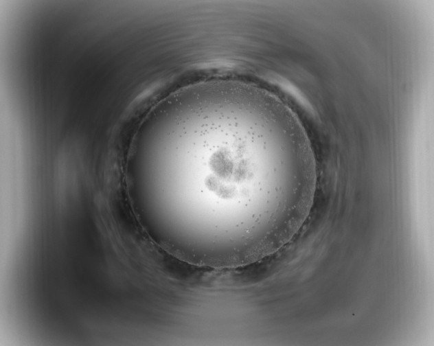 X0000099930967200805231227