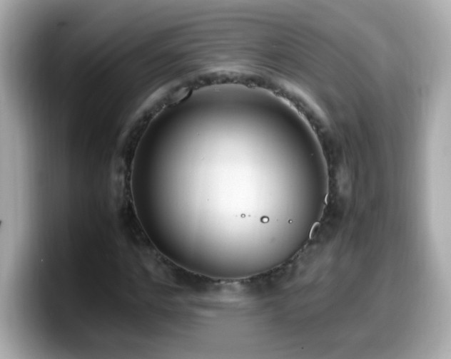 X0000099930968200805231227