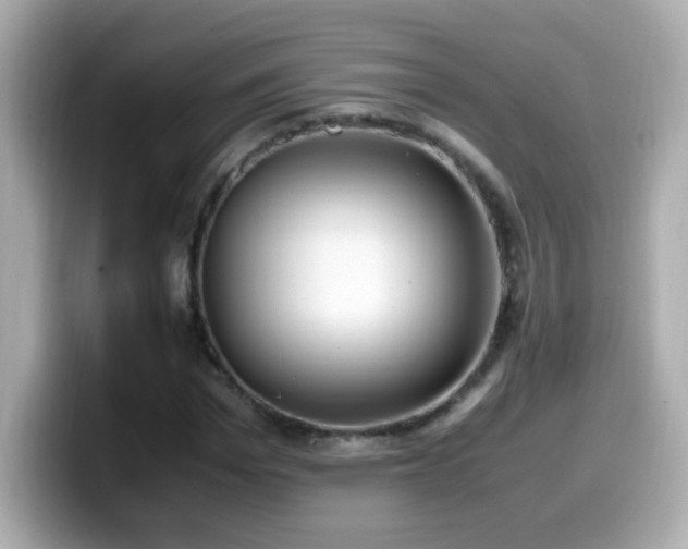 X0000099930969200805231227