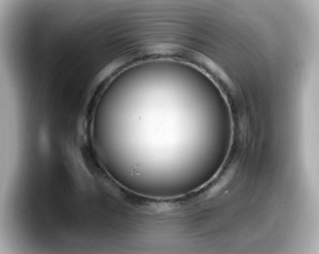 X0000099930970200805231227