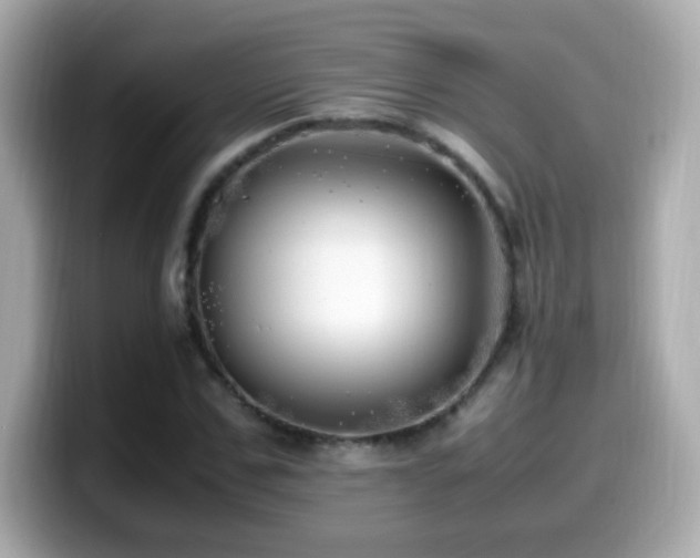 X0000099930971200805231227