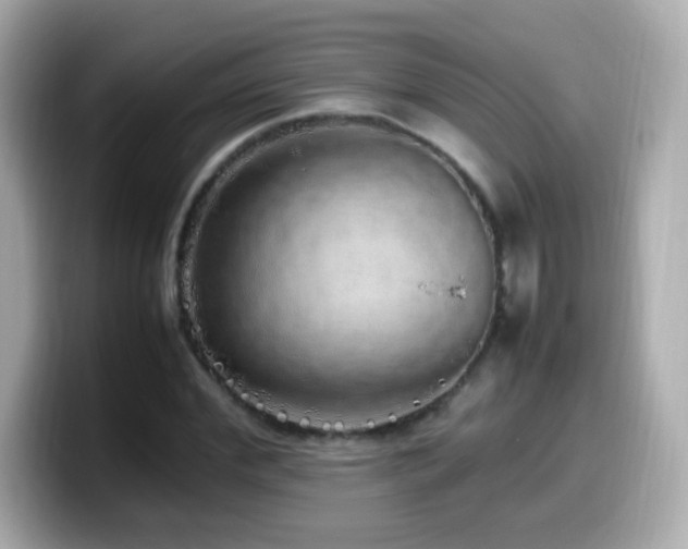 X0000099930972200805231227