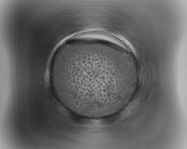 X0000099930975200805231227