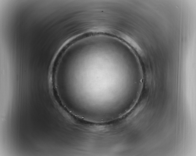 X0000099930976200805231227
