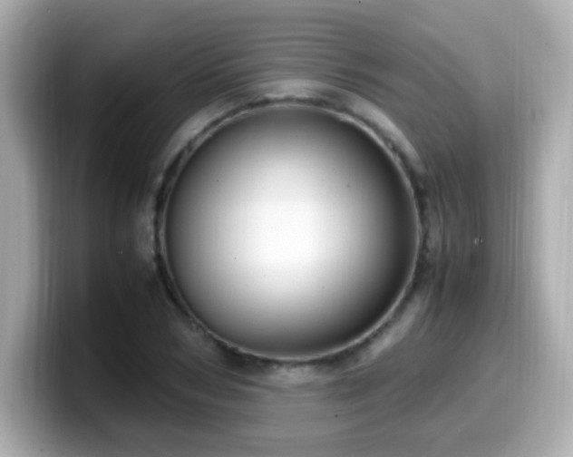 X0000099930978200805231227